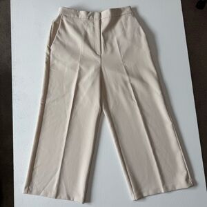 Zara Soft Beige Pants